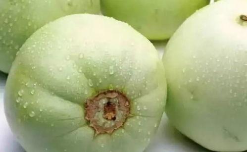 甜瓜最新大爆料视频 第1张 甜瓜最新大爆料视频 第1张